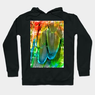 ChromaticBird Feather Abstract Pattern. For Feather & Bird Lovers. Hoodie